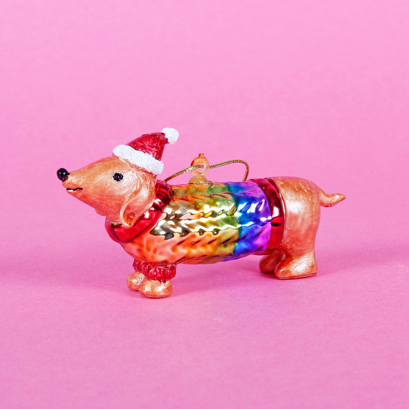 Sausage Dog In A Rainbow Jumper