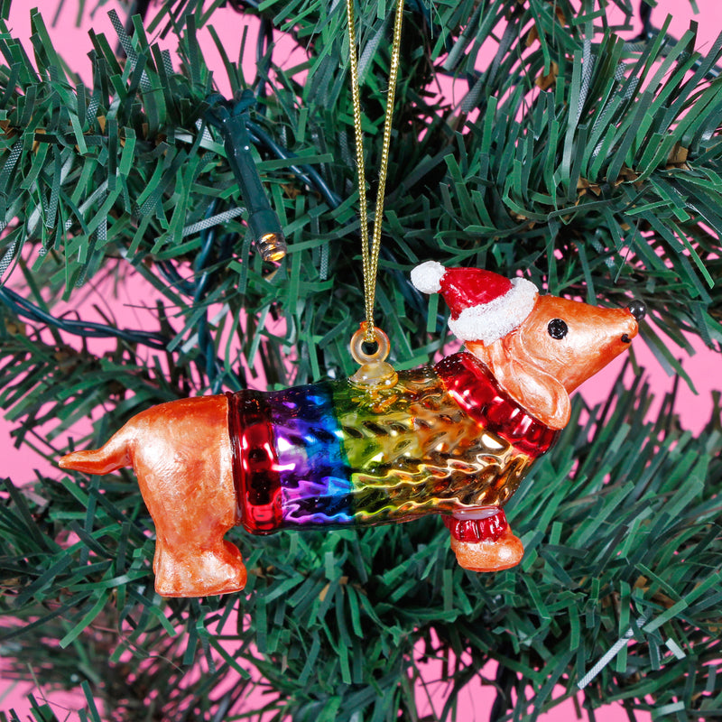 Sausage Dog In A Rainbow Jumper