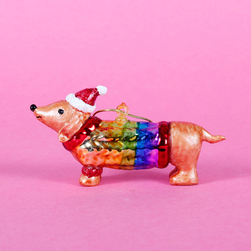 Sausage Dog In A Rainbow Jumper