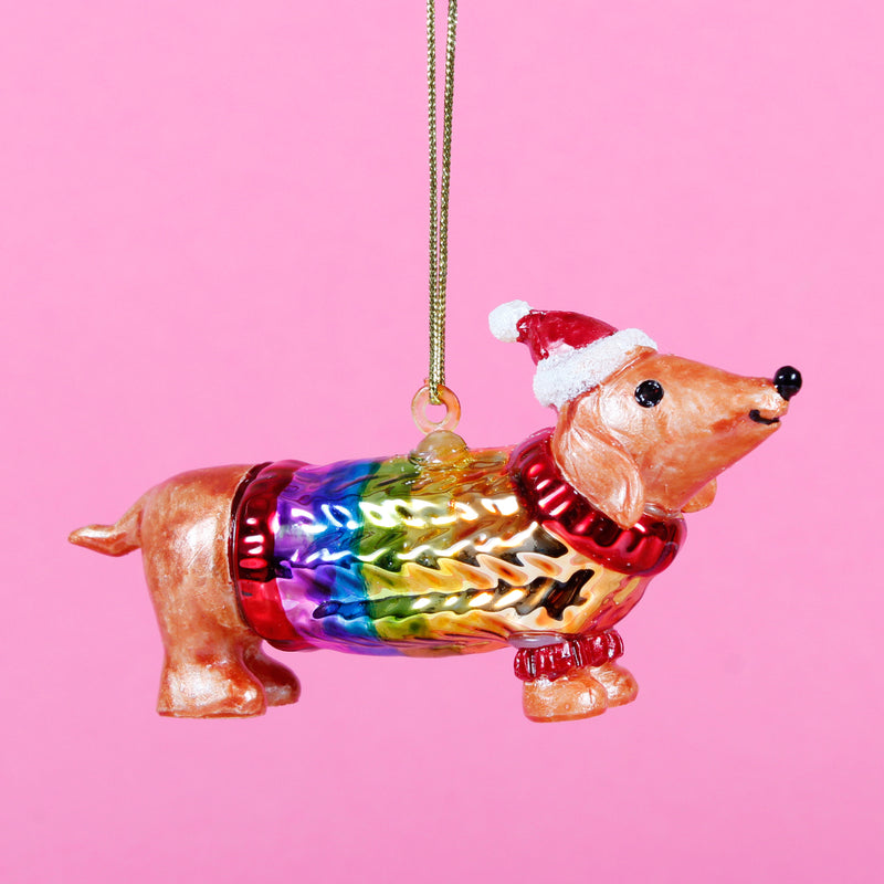 Sausage Dog In A Rainbow Jumper
