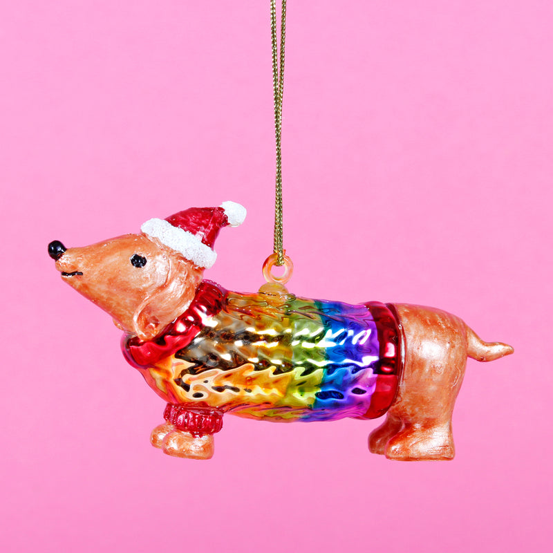 Sausage Dog In A Rainbow Jumper