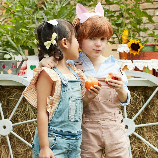 On the Farm Animal Ear Headbands Pack of 8 in 3 Designs