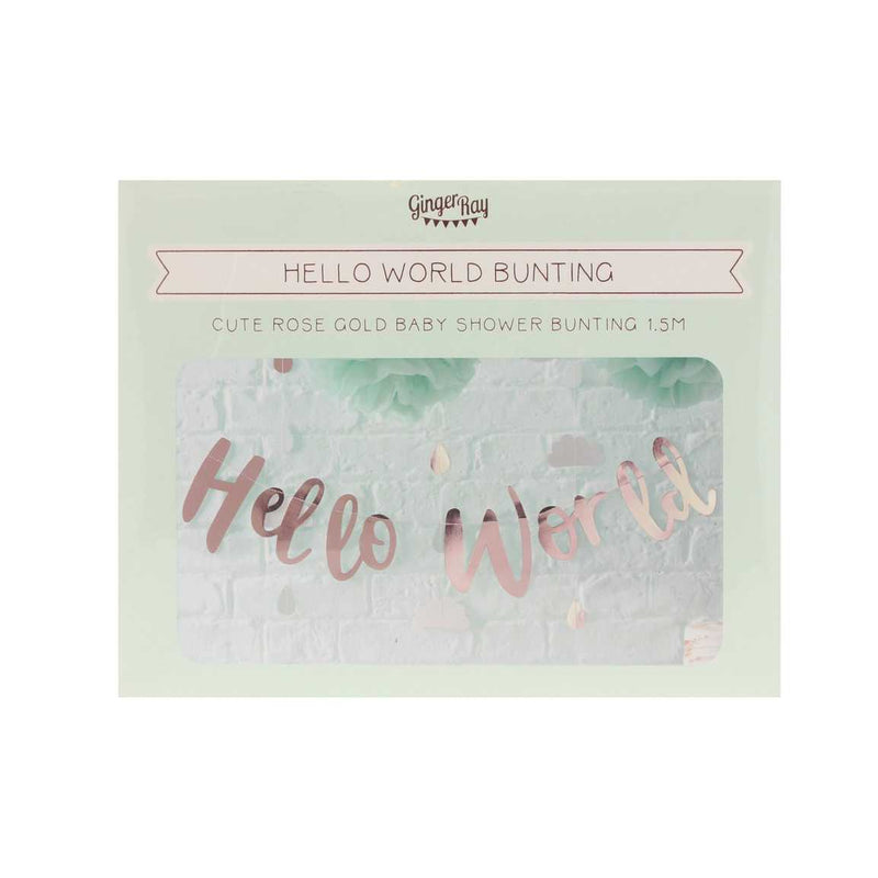 Hello World Rose Gold Baby Shower Bunting 2 Metres