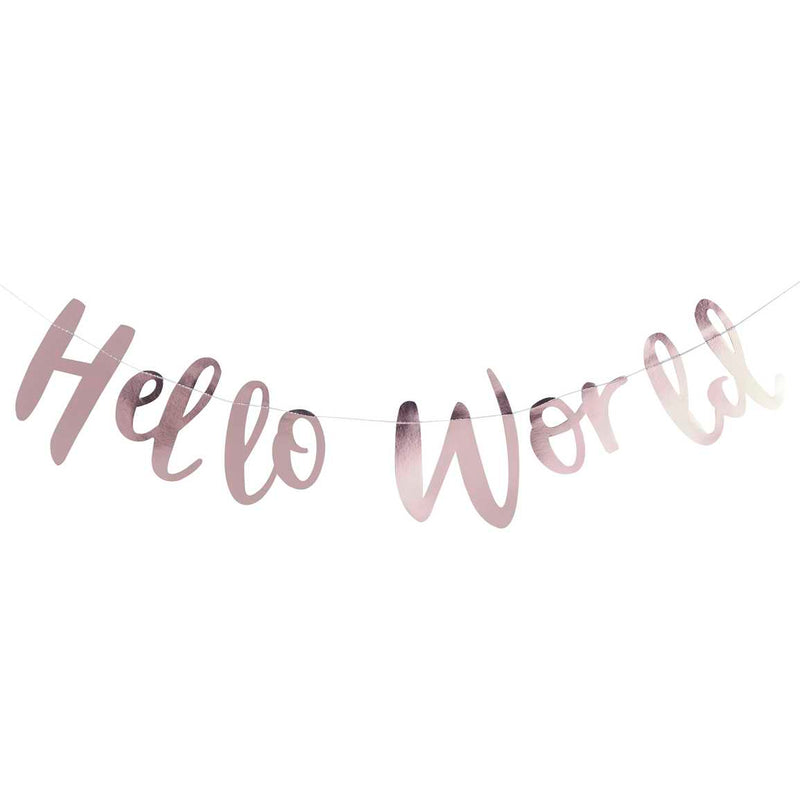 Hello World Rose Gold Baby Shower Bunting 2 Metres