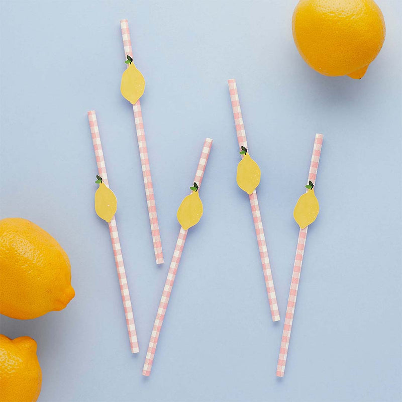 Lemon and Pink Gingham Paper Straws Pack of 20