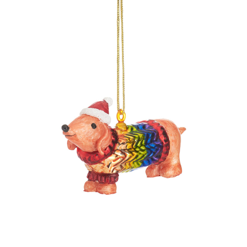 Sausage Dog In A Rainbow Jumper