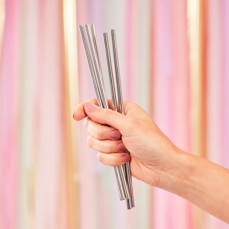 Silver Stainless Steel Reusable Straws Pack of 5